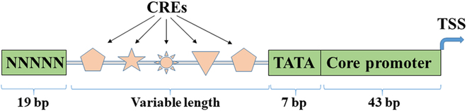 Fig. 2.