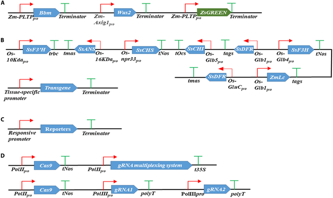 Fig. 3.