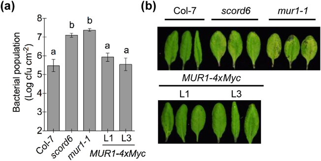 Fig. 2: