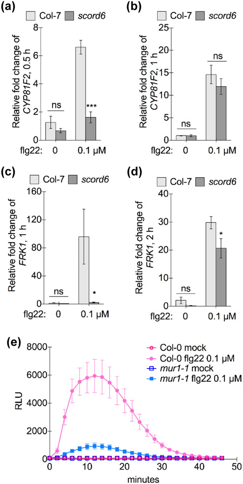 Fig. 4: