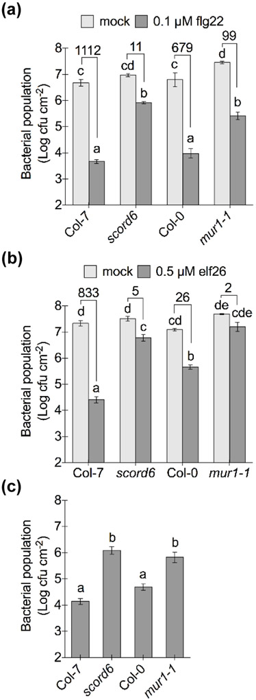 Fig. 3: