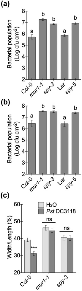 Fig. 7: