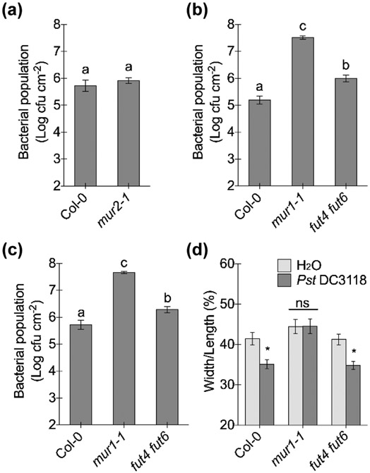 Fig. 6: