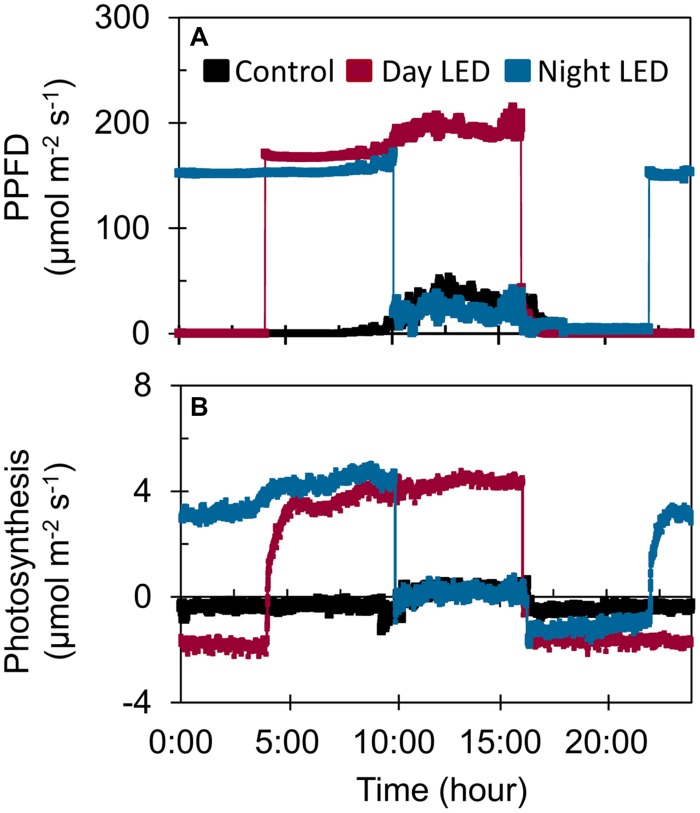 FIGURE 3