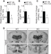 Fig 5