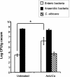 FIG. 2.