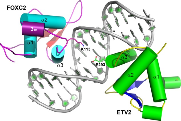 Figure 5