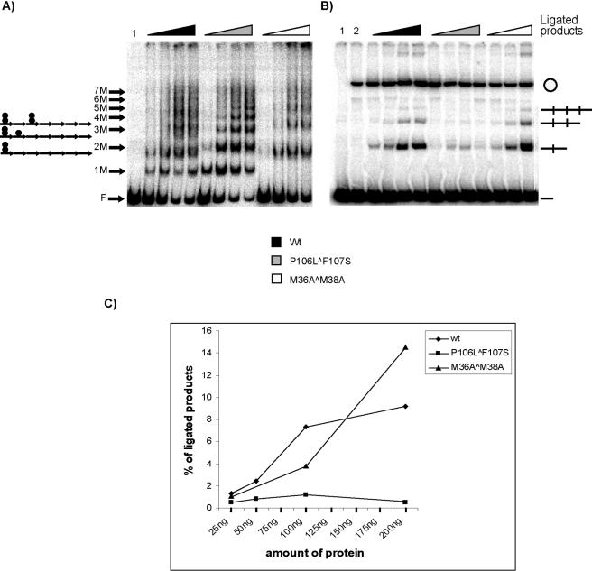 FIG. 4.