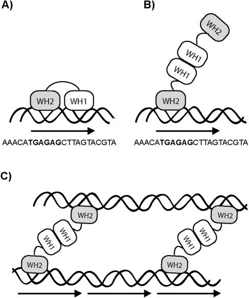 FIG. 5.