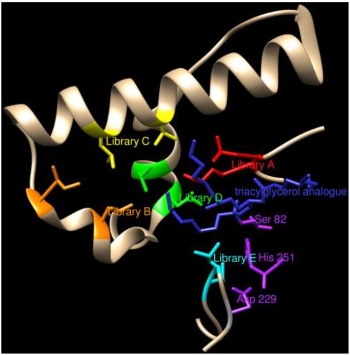 Figure 7