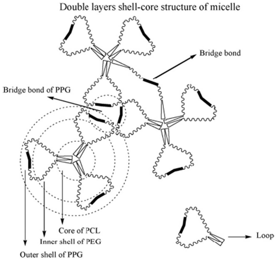 Fig. 10.