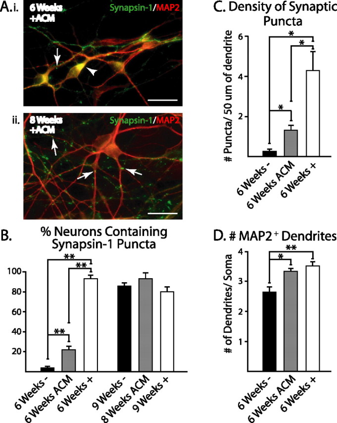 Figure 6.