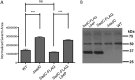 FIG 6