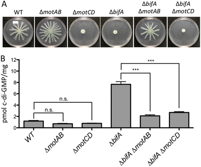 FIG 2