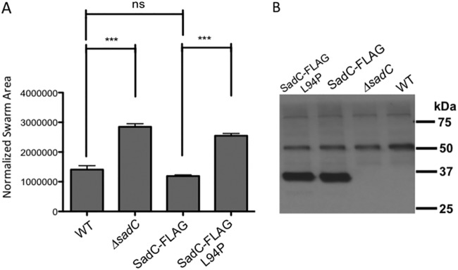 FIG 6