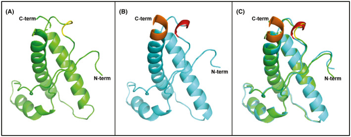 FIGURE 4