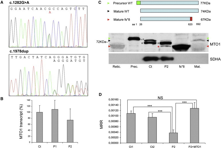 Figure 1