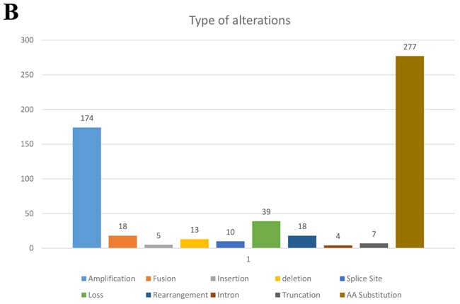 Figure 1B