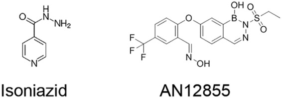 FIG 1