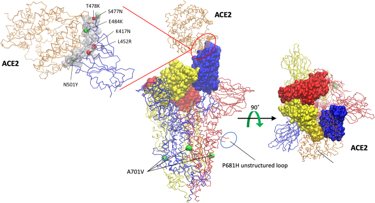 Figure 4