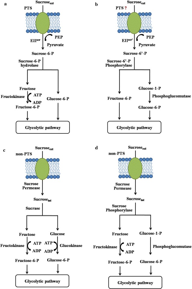 Fig. 1