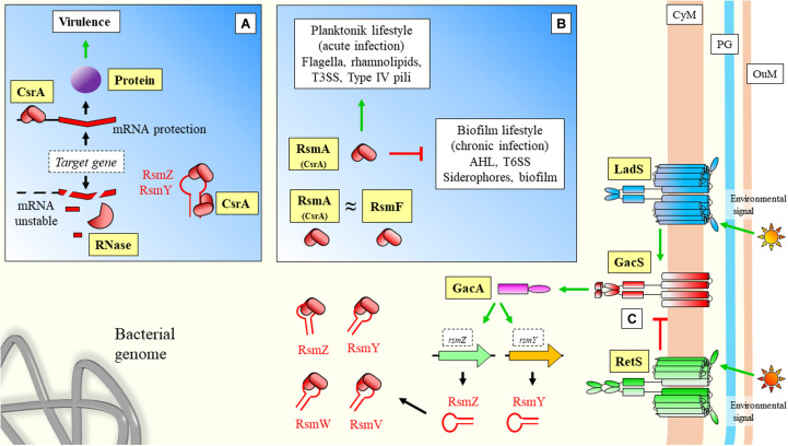 FIGURE 4