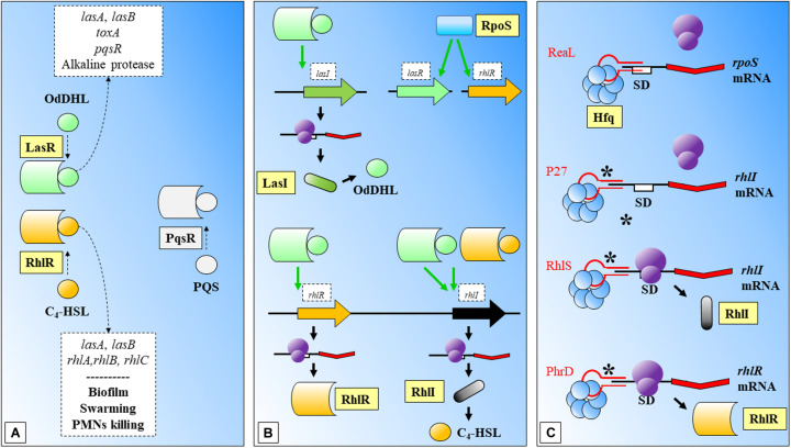 FIGURE 3