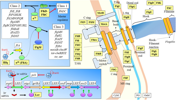 FIGURE 9