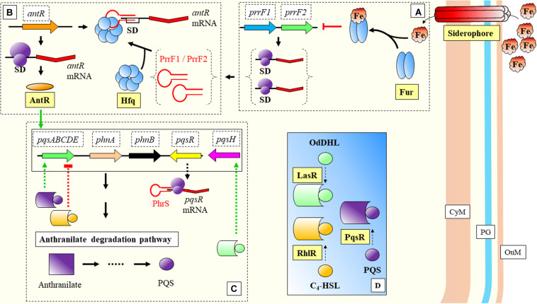 FIGURE 5