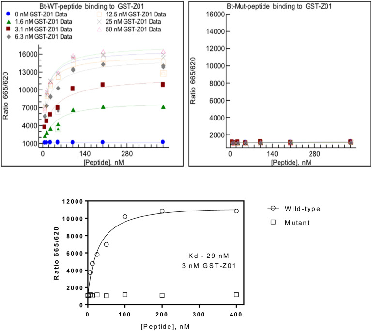 Fig. 3.