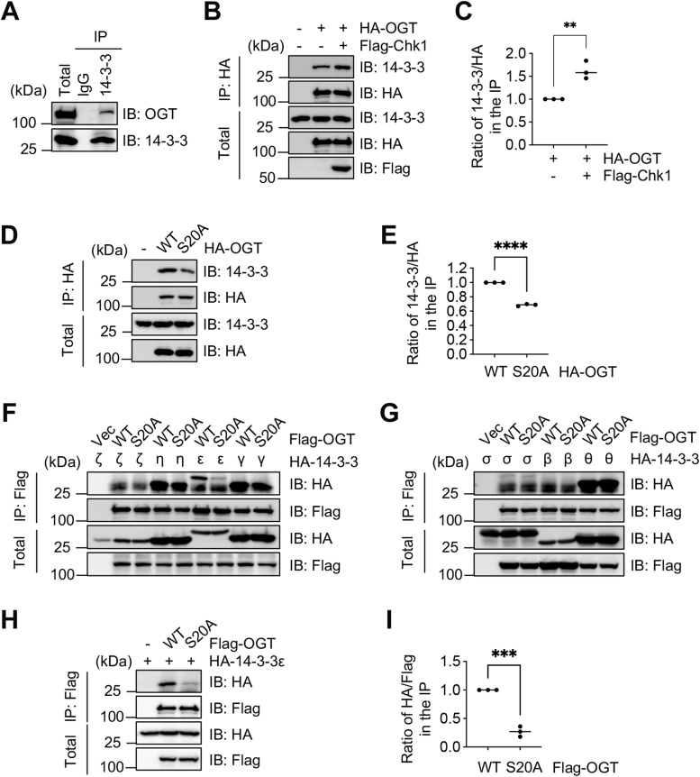 Figure 5