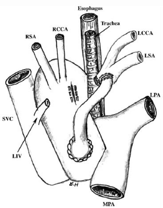 graphic file with name 34FF3.jpg