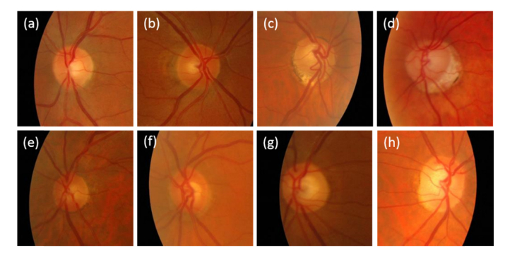 Fig. 8