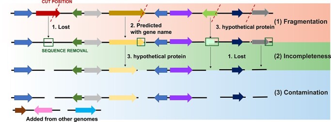 Figure 7