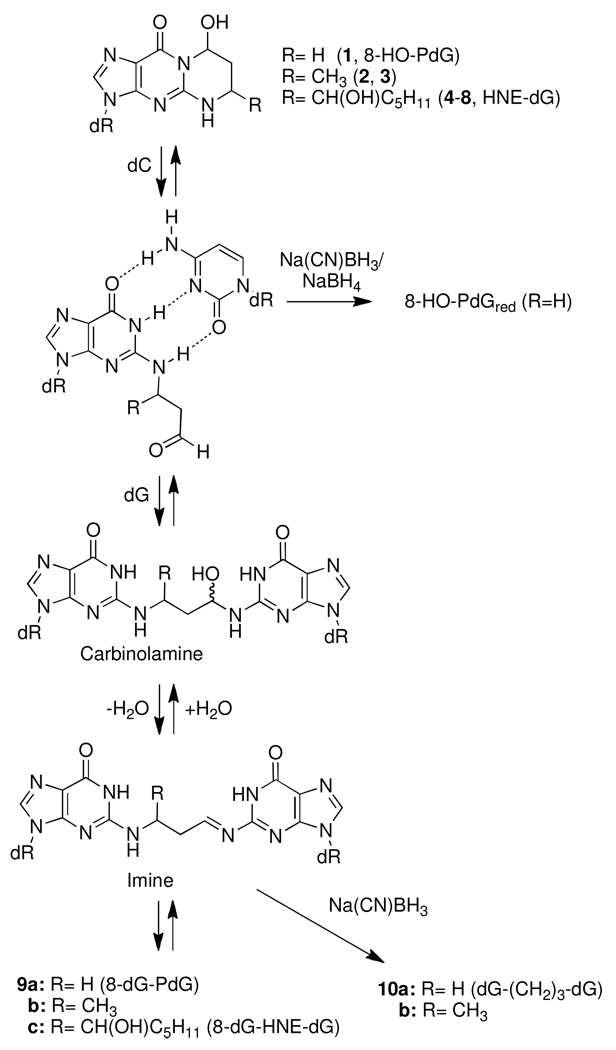 Scheme 3