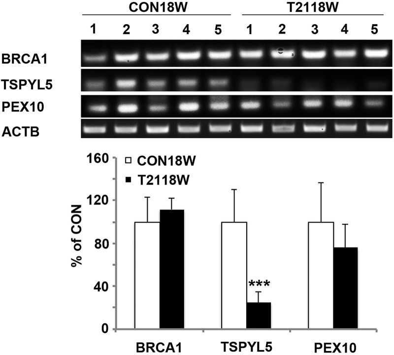 Figure 6.