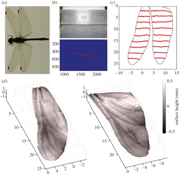 Figure 1.