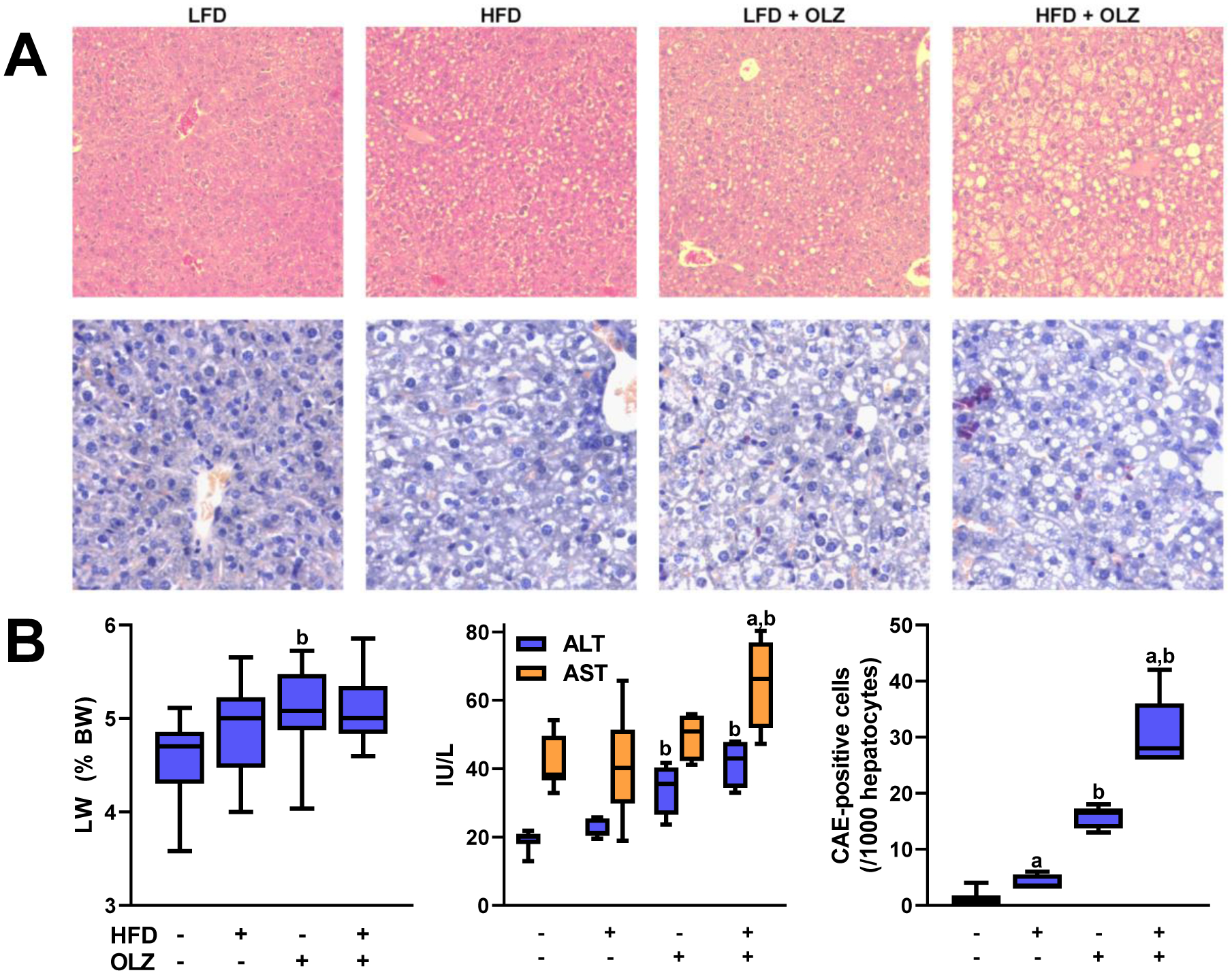 Fig. 2: