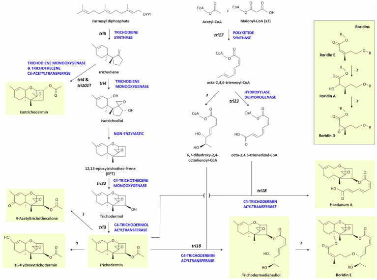 Figure 9