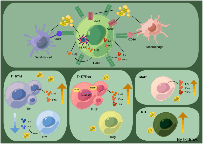 Figure 3