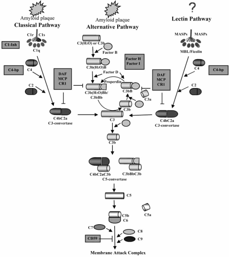 Fig. (1)