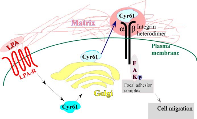 FIGURE 9.