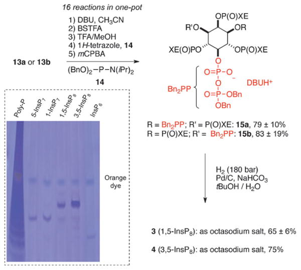 Scheme 2