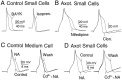 Fig. 3.