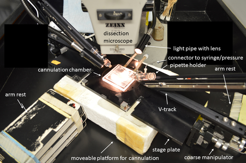 Figure 4-