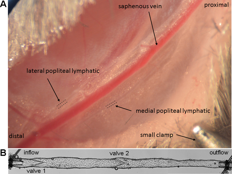 Figure 1-