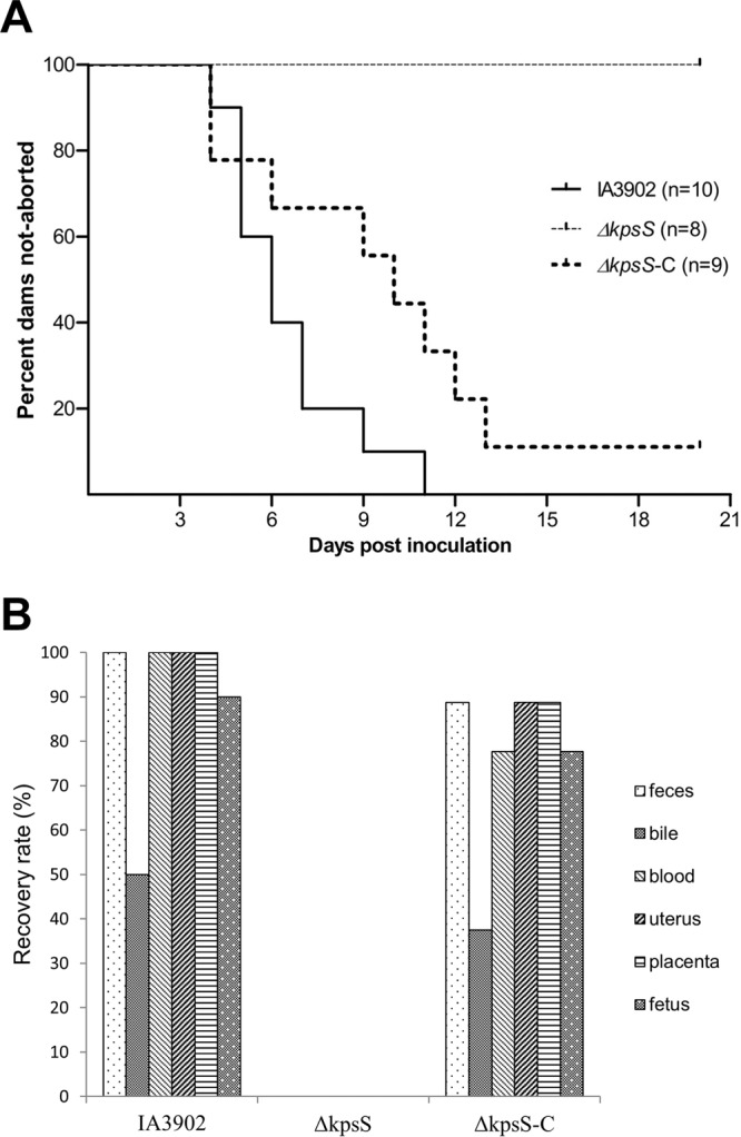 FIG 4