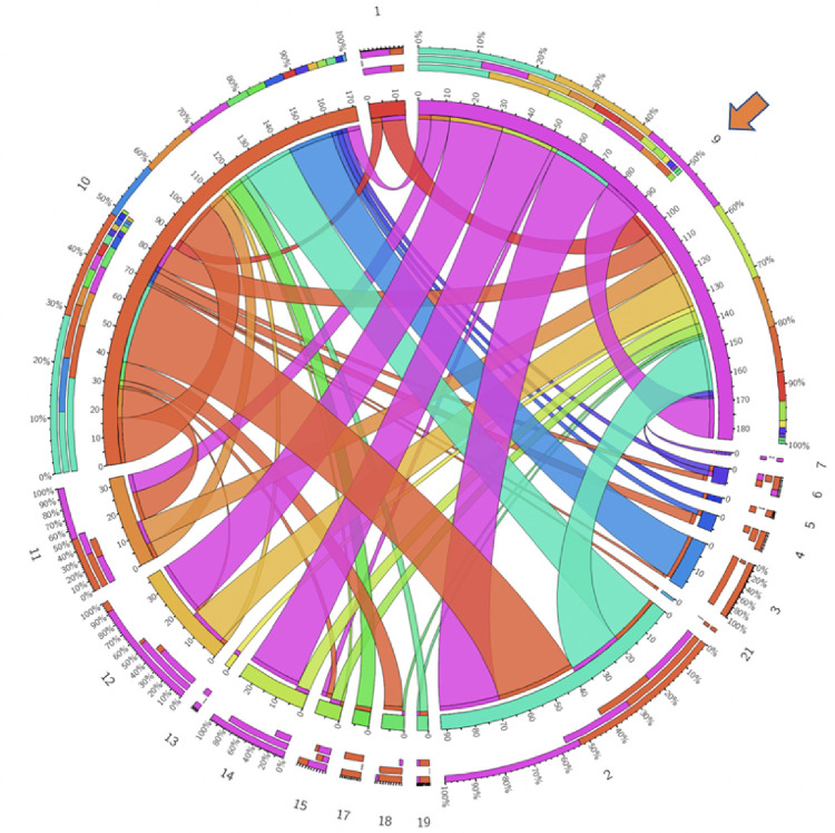 Figure 2: