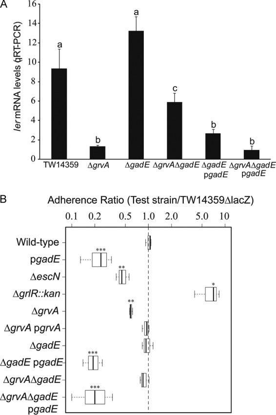 FIG 3