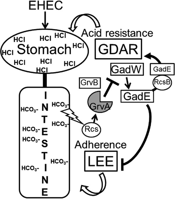 FIG 6